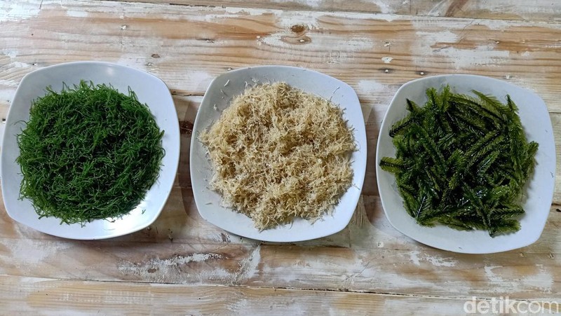 Ada banyak pilihan warung rujak kuah pindang di Bali. Namun, di warung ini, para pecinta dan penikmat rujak akan merasakan sensasi lain.