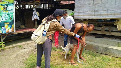 Pemberian vaksinasi rabies terhadap HPR di Desa Pergung, Kecamatan Mendoyo, Jembrana, Bali, Kamis (12/5/2022)