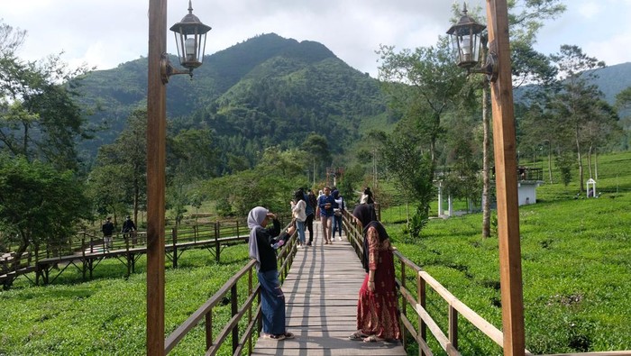 Sejumlah wisatawan menyusuri jembatan kayu di kawasan wisata alam Patean, kompleks agrowisata kebun teh Tambi, Kejajar, Wonosobo, Jateng, Kamis (12/5/2022). Pengelola wisata tersebut mengaku kunjungan wisatawan selama libur lebaran tahun ini meningkat hingga lima kali lipat dibanding pada musim liburan sebelumnya. ANTARA/Anis Efizudin/YU