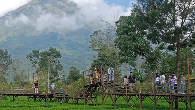 Wisata Patean Bikin Traveler Bisa Foto Maksimal di Tengah Kebun Teh