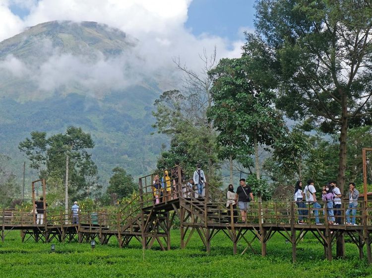 Wisata Patean Bikin Traveler Bisa Foto Maksimal di Tengah Kebun Teh
