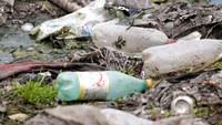 Pengelolaan sampah dan pelestarian lingkungan nampaknya belum menjadi perhatian utama bagi negara-negara di kawasan Balkan yang mencoba bangkit dari keterpurukan ekonomi akibat peperangan di 1990-an.   