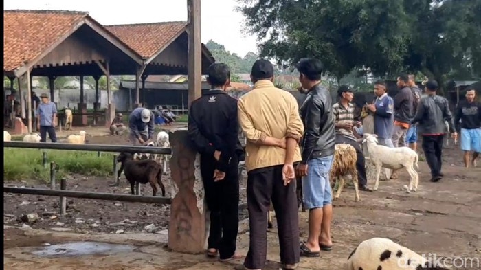 Suasana di Pasar Hewan Singaparna.
