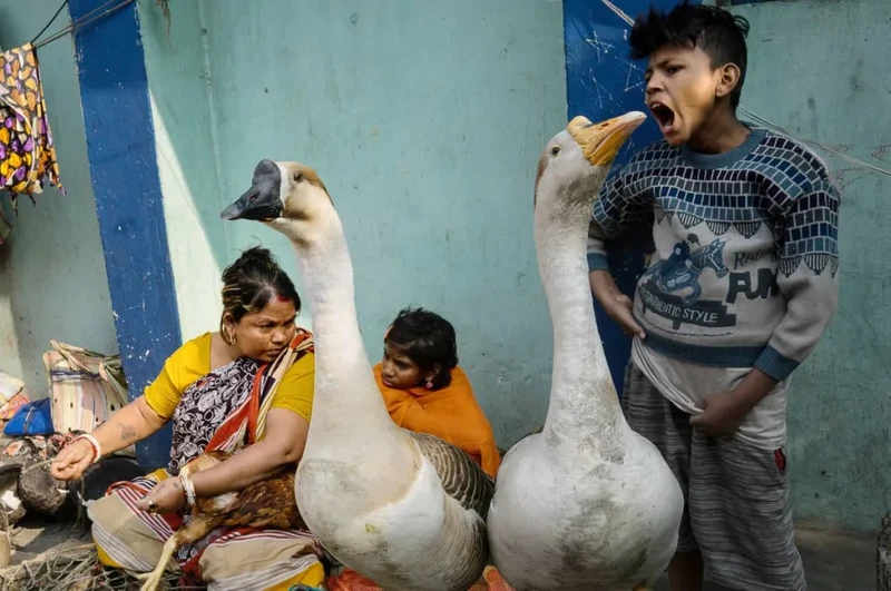 The Decisive Moments Magazine Awards 2021