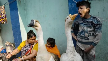 Finalis: Samrat Sur dari India Foto: The Decisive Moments Magazine