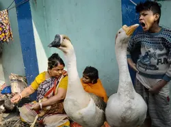 Jawara dan Finalis Kontes Foto Jalanan yang Bikin Kagum