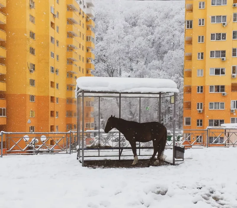 The Decisive Moments Magazine Awards 2021