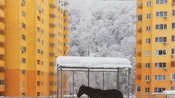 Juara kelima diraih Irina Egorova dari Rusia. Foto: The Decisive Moments Magazine