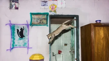 Finalis: Md Enamul Kabir dari Bangladesh. Foto: The Decisive Moments Magazine