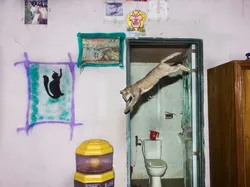 Jawara dan Finalis Kontes Foto Jalanan yang Bikin Kagum