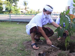 Tumpek Wariga, Suwirta Tanam Pohon Tabebuya-Mangga di GOR Swecapura