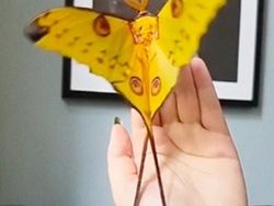 15 Hewan Unik yang Mirip Titisan Alien