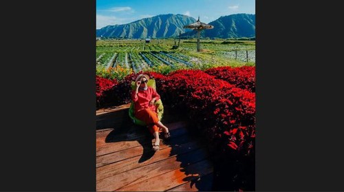 Keindahan wisata Kedai Sawah yang lagi Hits di Sembalun.