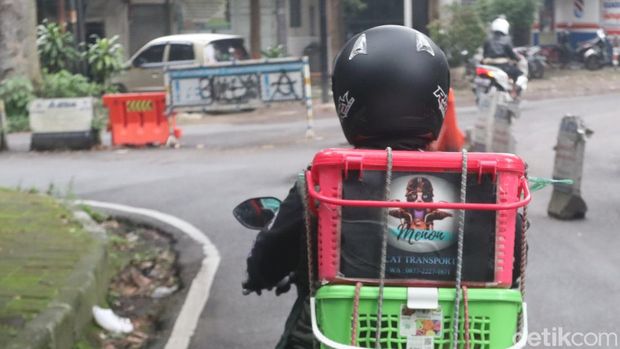 Kusmiati 'Bu Menon' driver ojol sekaligus penyelamat kucing di Bandung.
