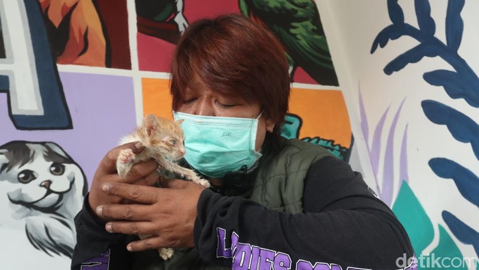 Kusmiati Bu Menon driver ojol sekaligus penyelamat kucing di Bandung.