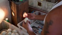 Sebelum menjadi balut, telur-telur harus lebih dulu melalui proses inkubasi atau mengerami dengan sarang dari beras dan bambu.Foto: iStock/Site News