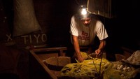 Selain itu Carlito memastikan bahwa telur-telurnya ini tetap hangat agar embrio telur bisa tumbuh. Setelah melalui proses inkubasi 11 hari, baru Carlito menjual telur-telurnya ini sebagai balut. Foto: iStock/Site News