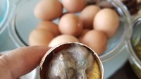 Menurut situs RL 360, hidangan telur balut yang berasal dari Filipina, merupakan makanan paling kontroversial di dunia. Karena hidangan ini berisi embrio ayam atau bebek yang masih berusia 11 hari. Foto: iStock/Site News