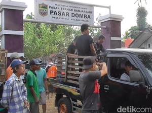 Waspadai Wabah PMK, 7 Pasar Hewan di Ciamis Ditutup!