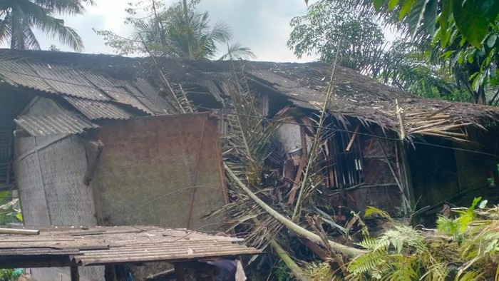 Pohon Tumbang Timpa Rumah di Ciamis