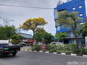 Surabaya Mendung dan Tabebuya Bermekaran