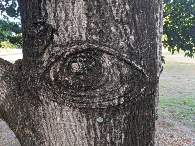 fotoinet Awas Kecele! Kumpulan Foto Ini Bkin Kamu Bingung