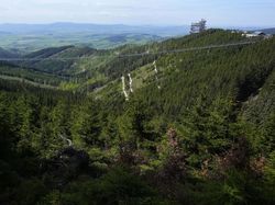 Insinyur Bikin Jembatan Gantung Terpanjang di Dunia
