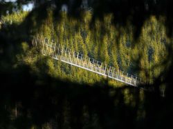 Insinyur Bikin Jembatan Gantung Terpanjang di Dunia