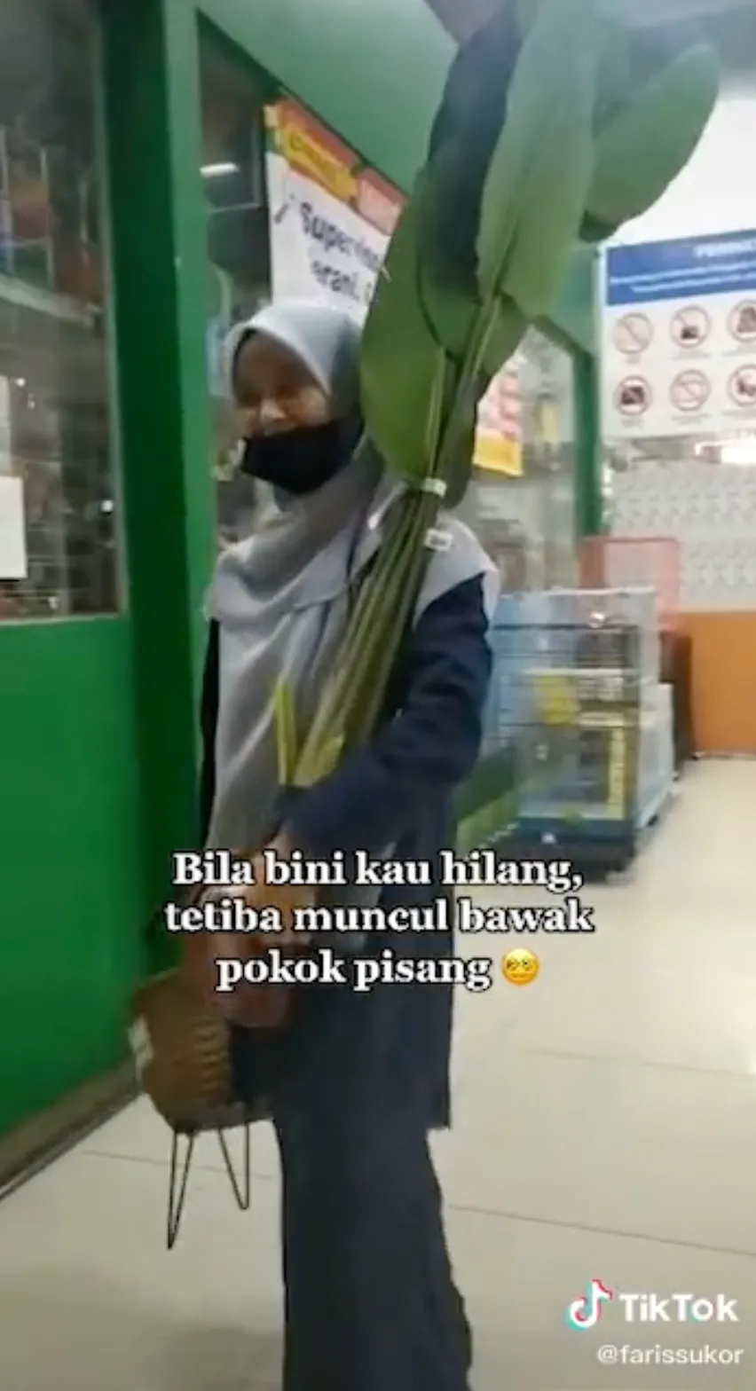 Ngakak! Hilang di Supermarket, Istri Ini Keluar Beli Daun Pisang Beserta Pohonnya