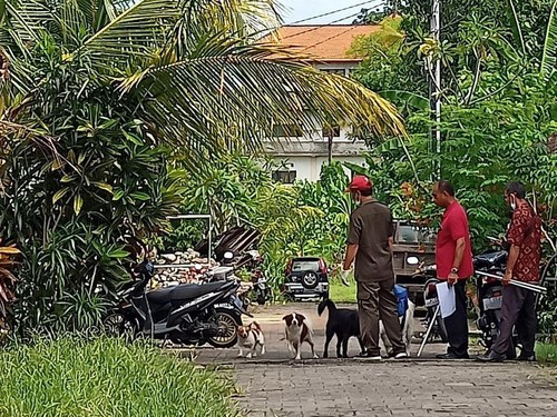Petugas saat melakukan vaksinasi sejumlah anjing di jalan Pulau Nias, Tabanan