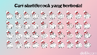 Perhatikan baik-baik ada shuttlecock yang berbeda warna, loh! Kamu bisa menemukannya? Foto: Tasya Kania Azzahra/detikHealth