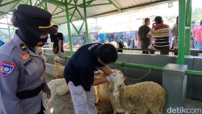 Usai ditemukan penyakit mulut dan kuku, pasar hewan di Kulon Progo didisinfektan, Minggu (15/5/2022).