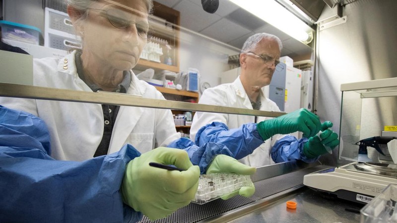 University of Florida researchers Anna-Lisa Paul and Robert Ferl work with tiny samples of lunar soil in which scientists grew seeds of the plant species Arabidopsis thaliana in this undated handout photo. Tyler Jones, UF/IFAS/Handout via REUTERS  NO RESALES. NO ARCHIVES. THIS IMAGE HAS BEEN SUPPLIED BY A THIRD PARTY. IT IS DISTRIBUTED, EXACTLY AS RECEIVED BY REUTERS, AS A SERVICE TO CLIENTS