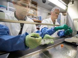 Tumbuhan Ini Berhasil Ditanam Pakai Tanah dari Bulan