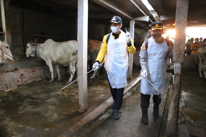 Bupati & Kapolres Kendal Disinfektan