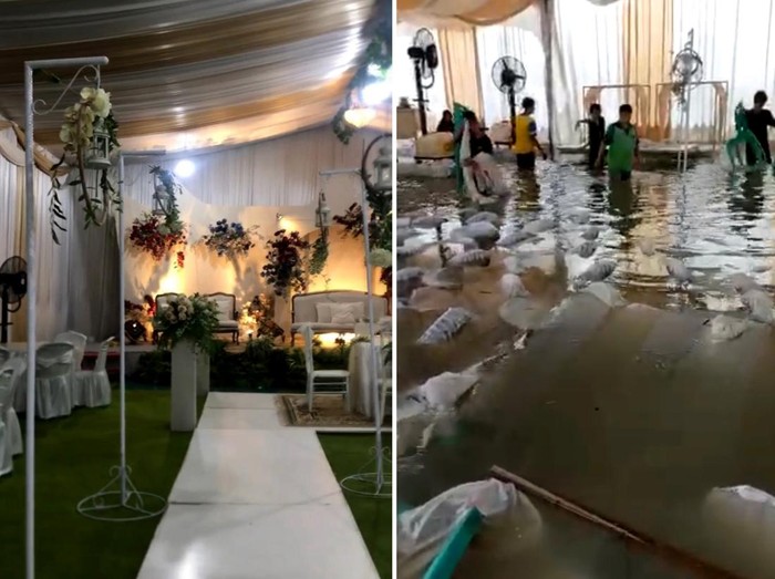 Suasana acara pernikahan mendadak banjir di Duri, Pekannaru,Riau. Suasana acara pernikahan mendadak banjir di Duri, Pekanbaru,Riau.