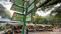 Peningkatan pengunjung sudah terjadi sejak Sabtu (14/5). Bahkan, hari itu Ragunan mencatat total pengunjung mencapai 25.340 orang.