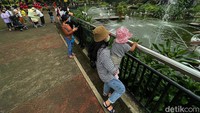 Libur satwa pun diundur menjadi hari Selasa (17/05/2022) mendatang.