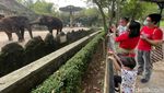 Libur Waisak, Ragunan Ramai Pengunjung