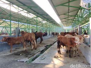 7 Pasar Hewan Ternak di Ciamis Kembali Dibuka