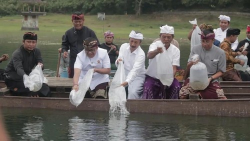 Penebaran Ikan Kuyuh (Ikan Asli) di Danau Tamblingan