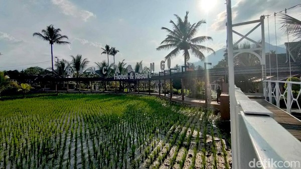 Lokasinya berada dekat dengan kawasan objek wisata terkenal, Cipanas. Dari kawasan Alun-alun Tarogong yang jadi gerbang masuk ke Garut via Bandung, tempat ini berjarak sekitar dua kilometer. Bisa diakses menggunakan kendaraan bermotor dengan waktu tempuh sekitar 6 menit menuju arah Barat via Jalan Raya Otista-Jalan Rancabango. Lokasinya berada dekat dengan kawasan objek wisata terkenal, Cipanas. Dari kawasan Alun-alun Tarogong yang jadi gerbang masuk ke Garut via Bandung, tempat ini berjarak sekitar dua kilometer. Bisa diakses menggunakan kendaraan bermotor dengan waktu tempuh sekitar 6 menit menuju arah Barat via Jalan Raya Otista-Jalan Rancabango.