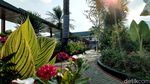 Bukan di Bali, Tempat Menawan Ini Ada di Garut