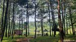 Pesona Situ Dewa Dewi Cipiit, Kabupaten Sukabumi