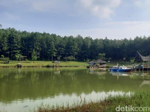 Long Weekend di Situ Dewa Dewi Cipiit, Bisa Kemping