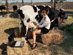 Deretan Stok Foto Aneh Tapi Bikin Ngakak Parah