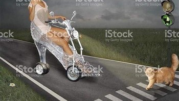 Cinderella keliling kota. Foto: Facebook.com/weirdstockeveryday/