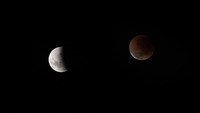 Fenomena Gerhana Bulan Total Blood Moon terlihat di langit sejumlah negara dunia. Fenomena ini dapat dilihat di benua Amerika hingga Eropa. Ini fotonya.