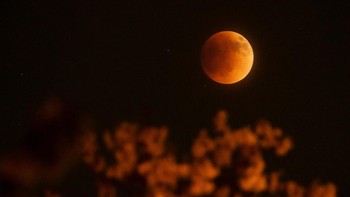 Penampakan gerhana bulan Super Flower Blood Moon yang terlihat di langit Ohio, Amerika Serikat, Minggu (15/5/2022) waktu setempat. (USA TODAY NETWORK via REUTERS).