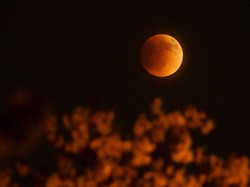 Ada Gerhana Bulan Total September Nanti, Seluruh Indonesia Kelihatan